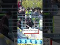 شاهد: محاولات لإعادة سمكة قرش إلى البحر