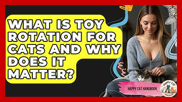 What Is Toy Rotation For Cats And Why Does It Matter? - Happy Cat Handbook