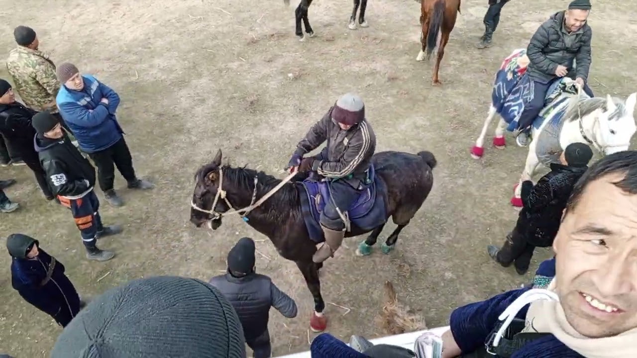 3-КСИМ САМАРКАНД В НУРОБОД Т НУРДУМ ЭЛИДА БЕГЗОД АКАМИЗНИНГ  КУПКАРИ ТУЙИ 15.01.2024