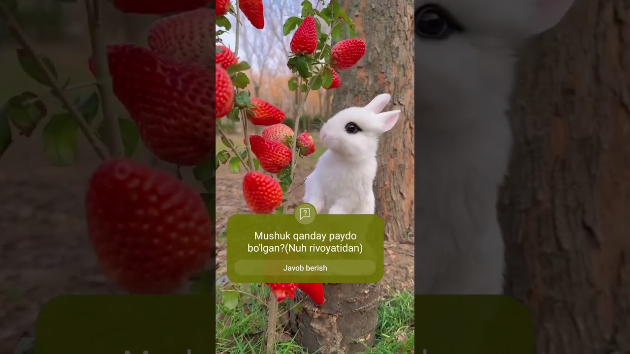 Spermatozoid xotinini soradi Pijamadagi yalangoch qizlar