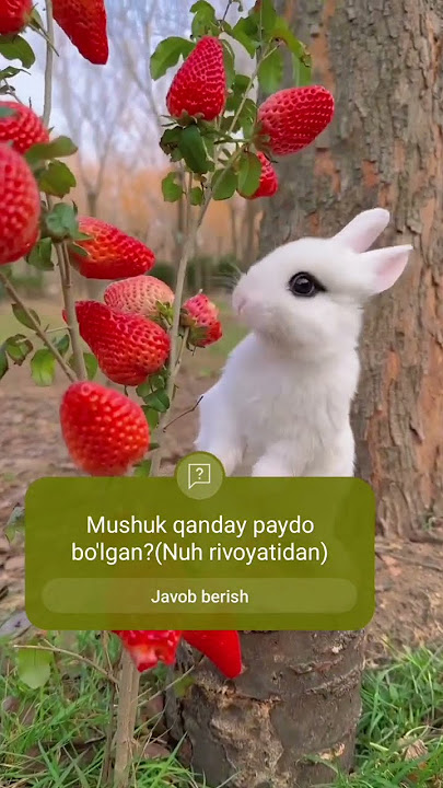 Rus porno tarjima bilan Twitter shahzoda Garrining yalangoch videosi