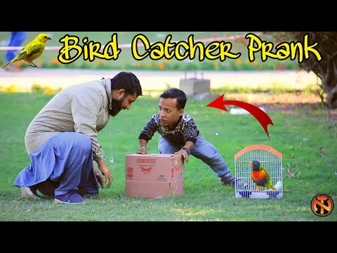 Bird Catcher Prank - Funny Reactions | New Talent