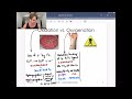 Oxidation vs Oxygenation in Hb and Mb