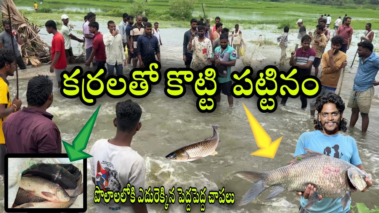  పోలాలలోకి ఎదురెక్కినచాలా పెద్ద పెద్ద చాపలు  కర్రతో కొట్టి పట్టిన థ్రిల్లింగ్ మాత్రం మామూలుగా లేదు  