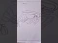 Figure 8 -Prawn -Zoology Record #drawing #plustwofocusarea #art #zoologyrecord #prawn