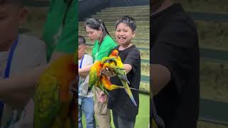 Bird Feeding Exotic Bird Presentation Dubai Dolphinarium