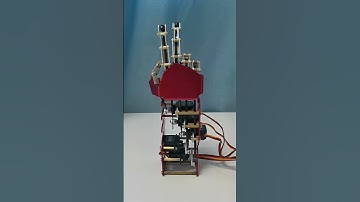 5 DOF Robotic Hand Humanoid Five Fingers Metal Manipulator Arm