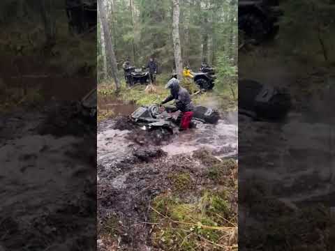 Stels atv guepard