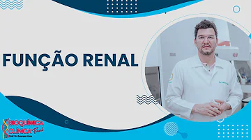Quais são as doenças que mais se relacionam com o aparecimento de IRC?