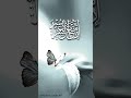 Islam#Muslim#IslamicReminder#Deen#IslamicPost#IslamicContent#MuslimUmmah#IslamicQuotes#IslamicVideos