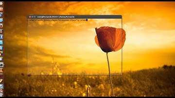 Interface e Configuração via Terminal Linux