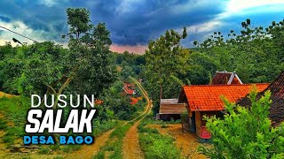 Alam pedesaan Dusun Salak Desa Bago || Kehidupan Suku Jawa kuno yang hidup rukun di tengah hutan