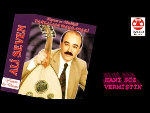 Ali Seven -   Hani  Söz  Vermiştin  Bana (klarnet ve cümbüşlü stero kayıt)