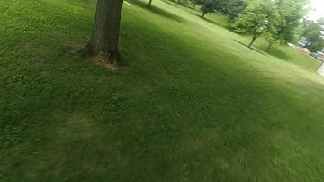 Sigan250 v2 Betaflight 2.8.1 First flight after retrieving the quad from a tree.
