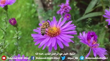 سورة الشمس تلاوة تعليمية | الشيخ خليل عبدالرحمن القارئ رحمه الله