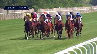 Vidéo de la course PMU QATAR PRIX KISTENA