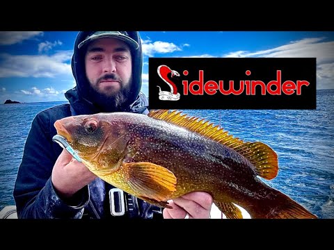 LURE fishing Cornwall / small boat fishing uk 🇬🇧 #fishing #bass #fish #youtube #contentcreator #lure