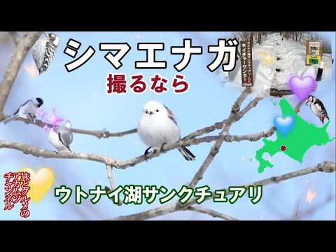 YouTube 動画のサムネイル