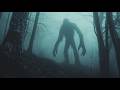 The State That Made Bigfoot Illegal to Kill