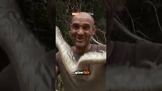 Yılan Yiyeceğim Ve Biftek Yemiş Gibi Olacağım. Ürkiye