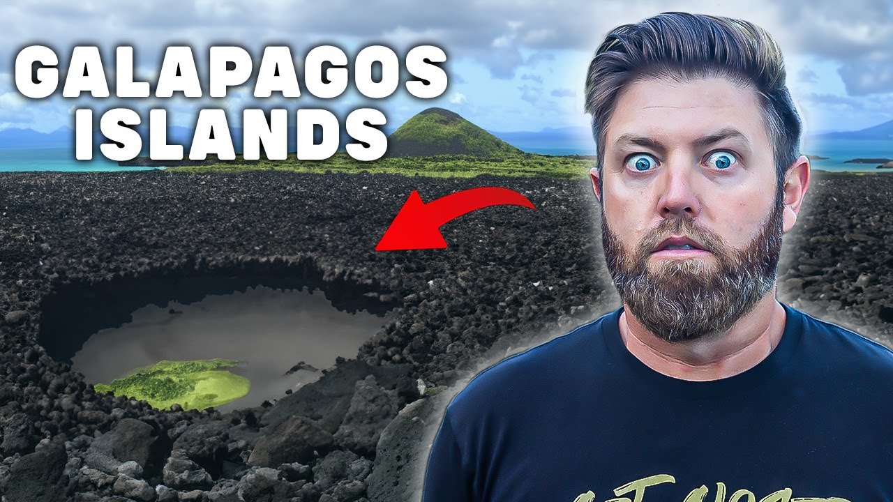 Hiking Into A Crater To Find A Galapagos Tortoise