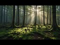 Ohne Werbung, Sphärischer Ambient zur Entspannung &amp; Meditation | Ruhige Hintergrundmusik