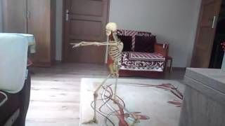 FxGuru Video 5