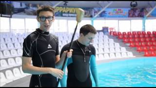 Слава Соломка - тренер дельфинов в киевском 