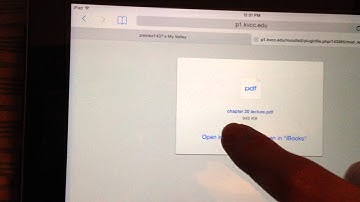 Notability import/export errors