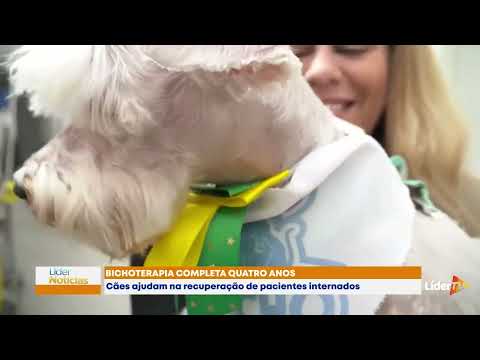 Bichoterapia: Cães no ambiente hospitalar ajudam na recuperação de pacientes