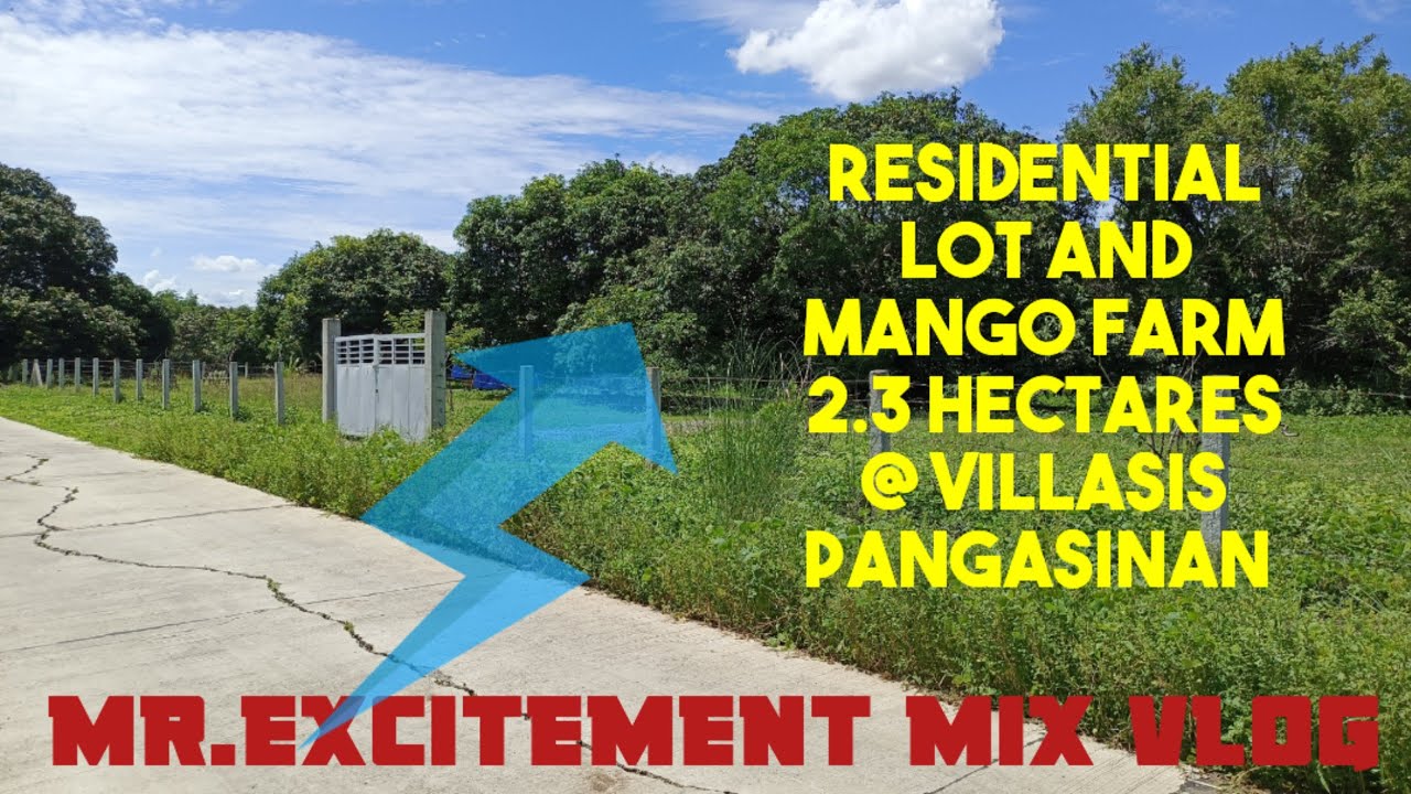 V#55 2.3 Hectares residential lot and manggo farm @mr.excitementmixvlog