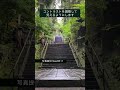 【奇跡】浮き出る龍神様！運気上昇【箱根神社 九頭龍神社 】#shorts