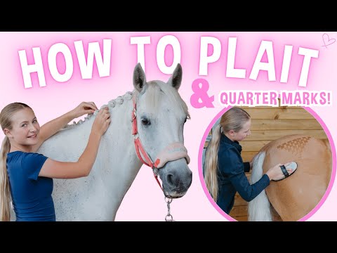LEARN HOW TO PLAIT UP A HORSE AND DO QUARTER MARKS