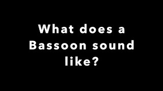 What does a Bassoon Sound Like?