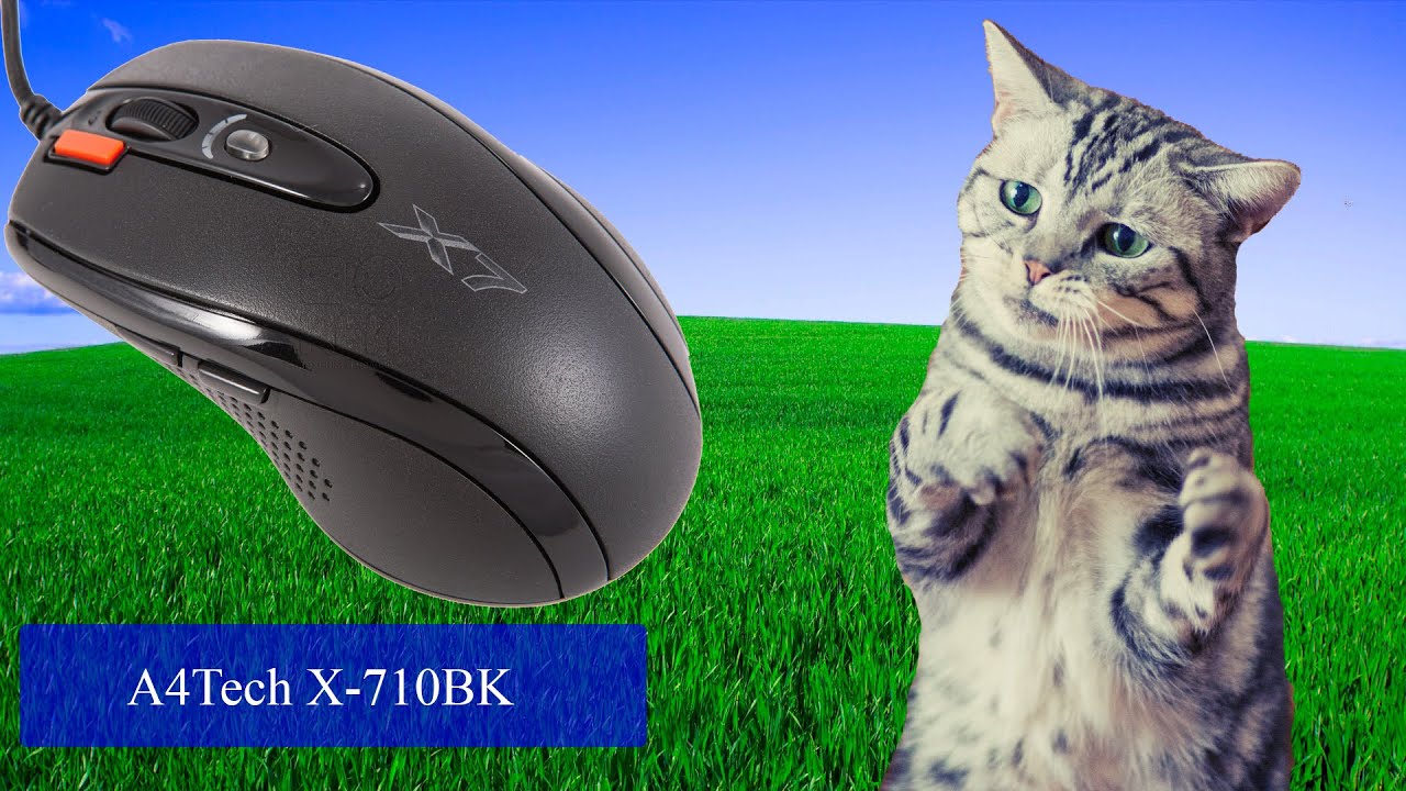 скачать oscar mouse editor x7 x-710bk Oscar editor x7 скачать x 710bk.