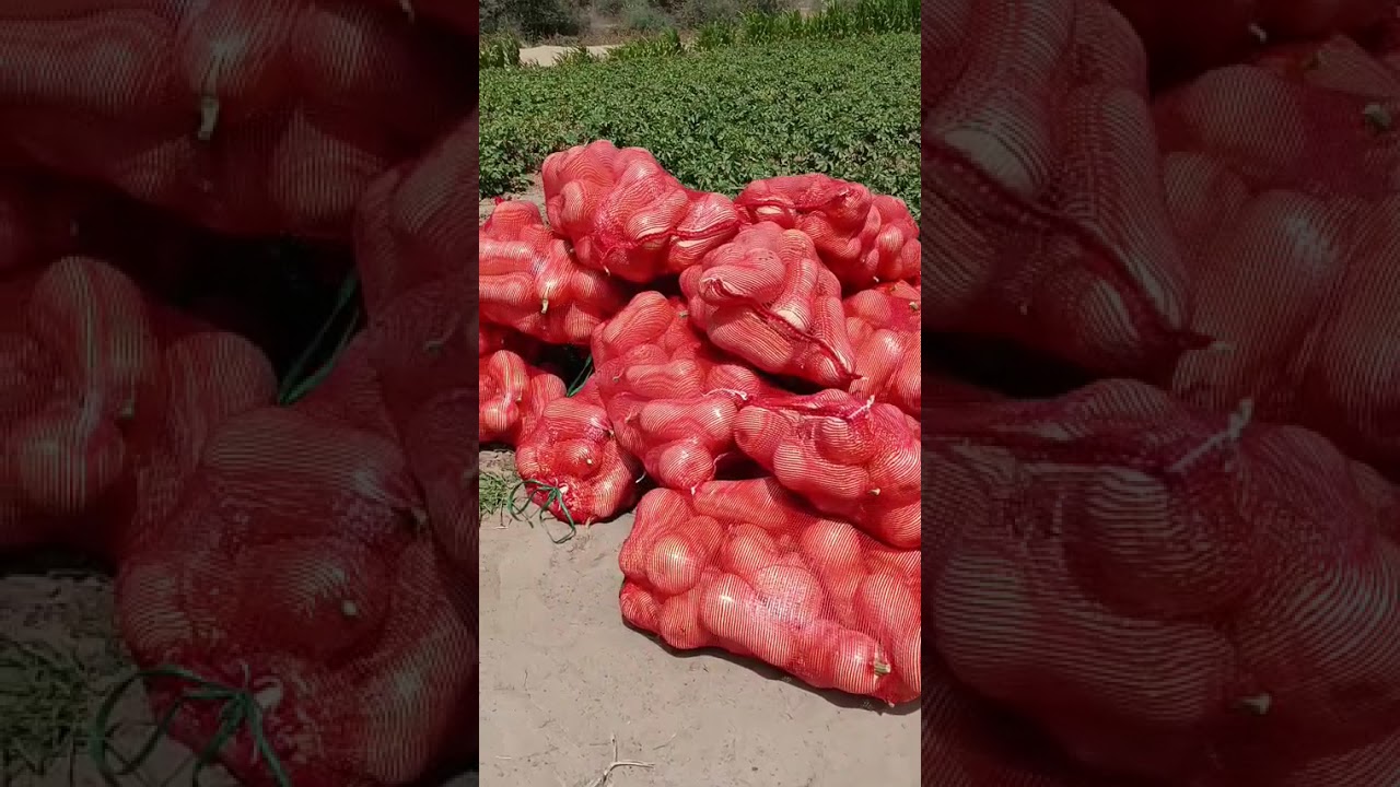 الحمد لله على الخيرات من موريتانيا ،🇲🇦🇲🇦🇲🇦🇲🇷🇲🇷🇲🇷