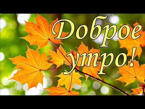 🌹Доброго осеннего утра🌹