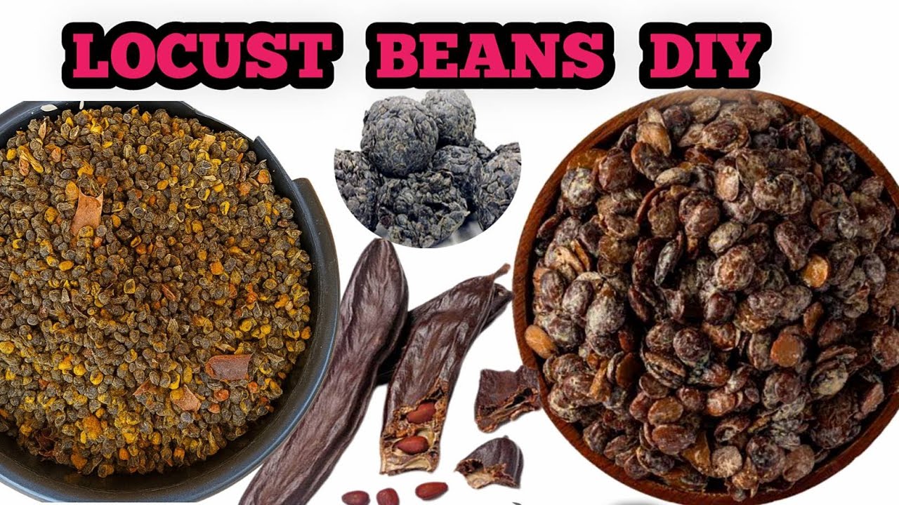 How to Make Locust Beans (Iru/Dawadawa) at home