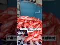 School I'd Card Printing,#idcardprinting #shortvideo ,#idcard ,#idcarddesign ,#schoolidcard ,#shorts