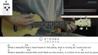 how to play in the aeroplane over the sea with neutral milk hotel (ukulele lesson)