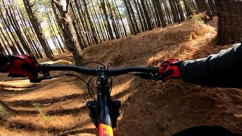 Full of surprises this place.... - WAKE FOREST