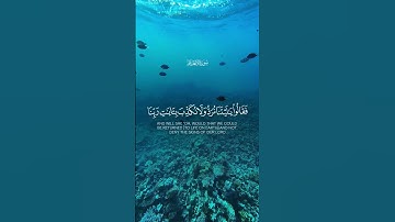 Surah Al Anaam | سورة الأنعام |#الانعام #انعام #anaam#anam#alanaam#alanam#allah #allah100k #allahu