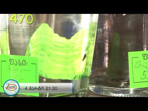 რას ნახავთ სახალხო კონტროლში [ანონსი]