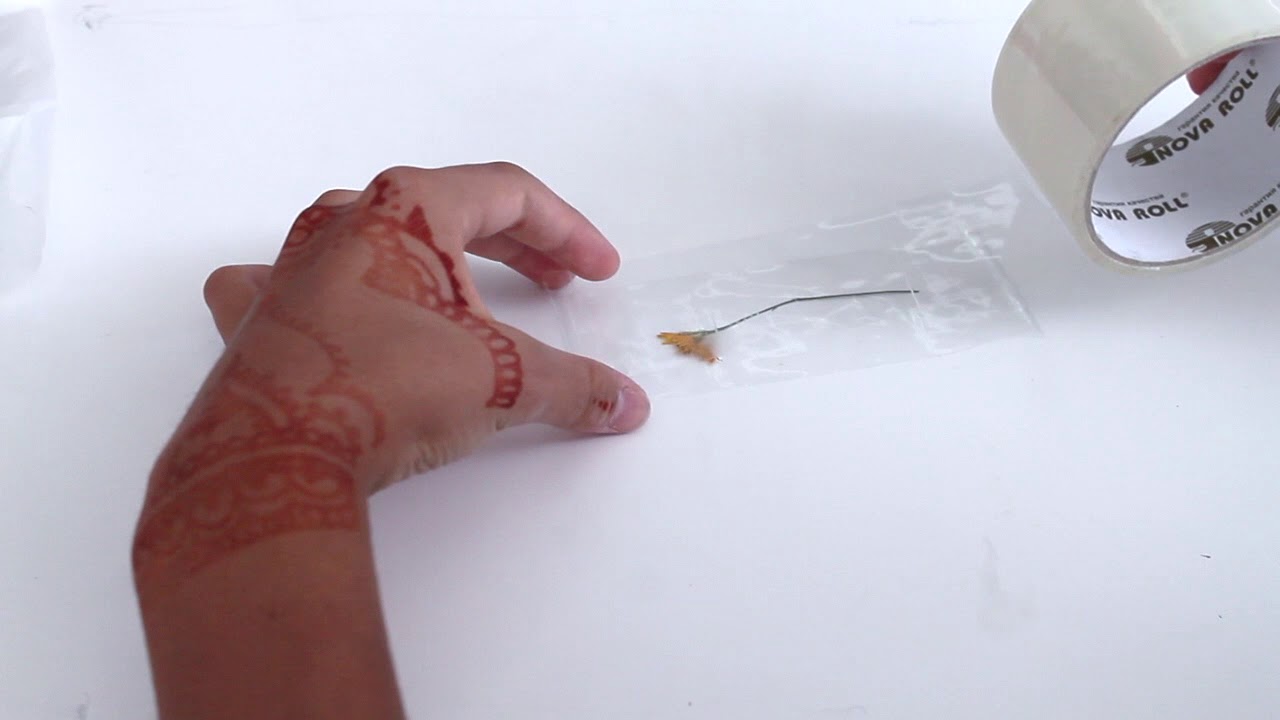 ДВА СПОСОБА ЛАМИНИРОВАНИЯ || Как сохранить засушенные растения | D |