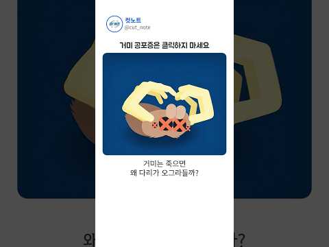 죽은 거미가 다시 움직이는 이유 ㄷㄷ thumbnail