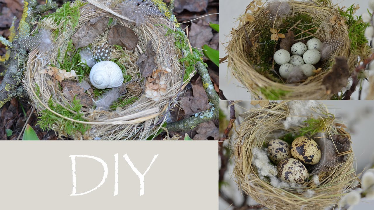 Diy frühlingsdeko selber machen vogelnest aus naturmaterial ...