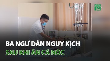 Ba ngư dân nguy kịch sau ăn cá nóc | VTC14
