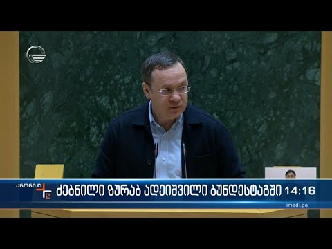 ძებნილი ადეიშვილი ბუნდესტაგში