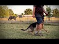 Schutzhund Fuss Dance