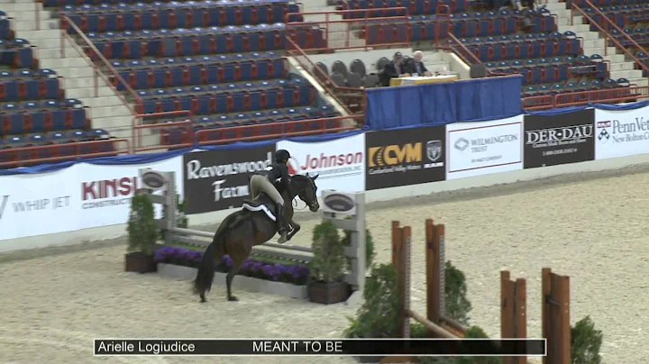 78 MEANT TO BE Arielle Logiudice, Class 25 Large C...